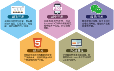 軟件開發(fā)技術(shù)服務(wù) 賦能企業(yè)數(shù)字化轉(zhuǎn)型的核心驅(qū)動(dòng)力